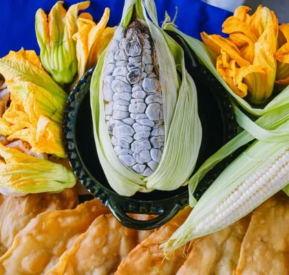 Riqueza gastronómica